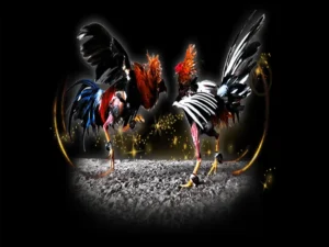 Hướng Dẫn Cách Chơi Đá Gà Sabong Tại Oppa888 Cho Người Mới