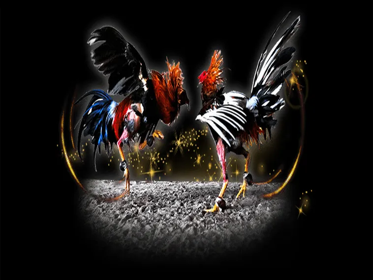 Hướng Dẫn Cách Chơi Đá Gà Sabong Tại Oppa888 Cho Người Mới