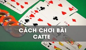 Bí Quyết Chơi Sắc Tê Oppa888 Từ Cao Thủ Giúp Tân Binh Thắng Lớn