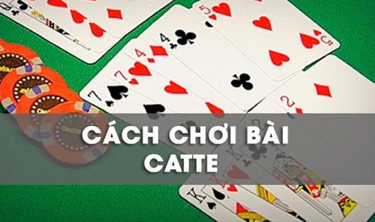 Bí Quyết Chơi Sắc Tê Oppa888 Từ Cao Thủ Giúp Tân Binh Thắng Lớn